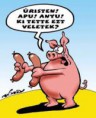 /album/fenykepgaleria/images-14-jpg/